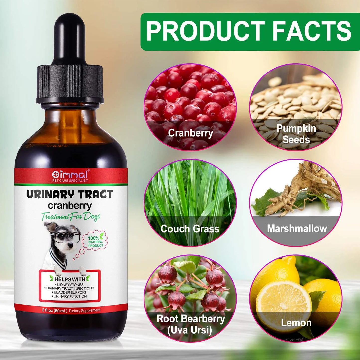 Urinary Tract Infection Drops for Dog | Natural Cranberry, Kidney + Bladder Support Supplement Dog Renal Health & Care (2 Fl Oz) - 1Pack