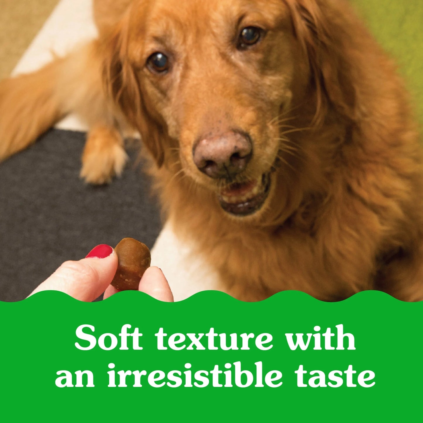 Pill Pockets for Dogs Chicken Flavor Large, Capsule Size Soft Dog Treats, 15.8 Oz, (60 Pk)