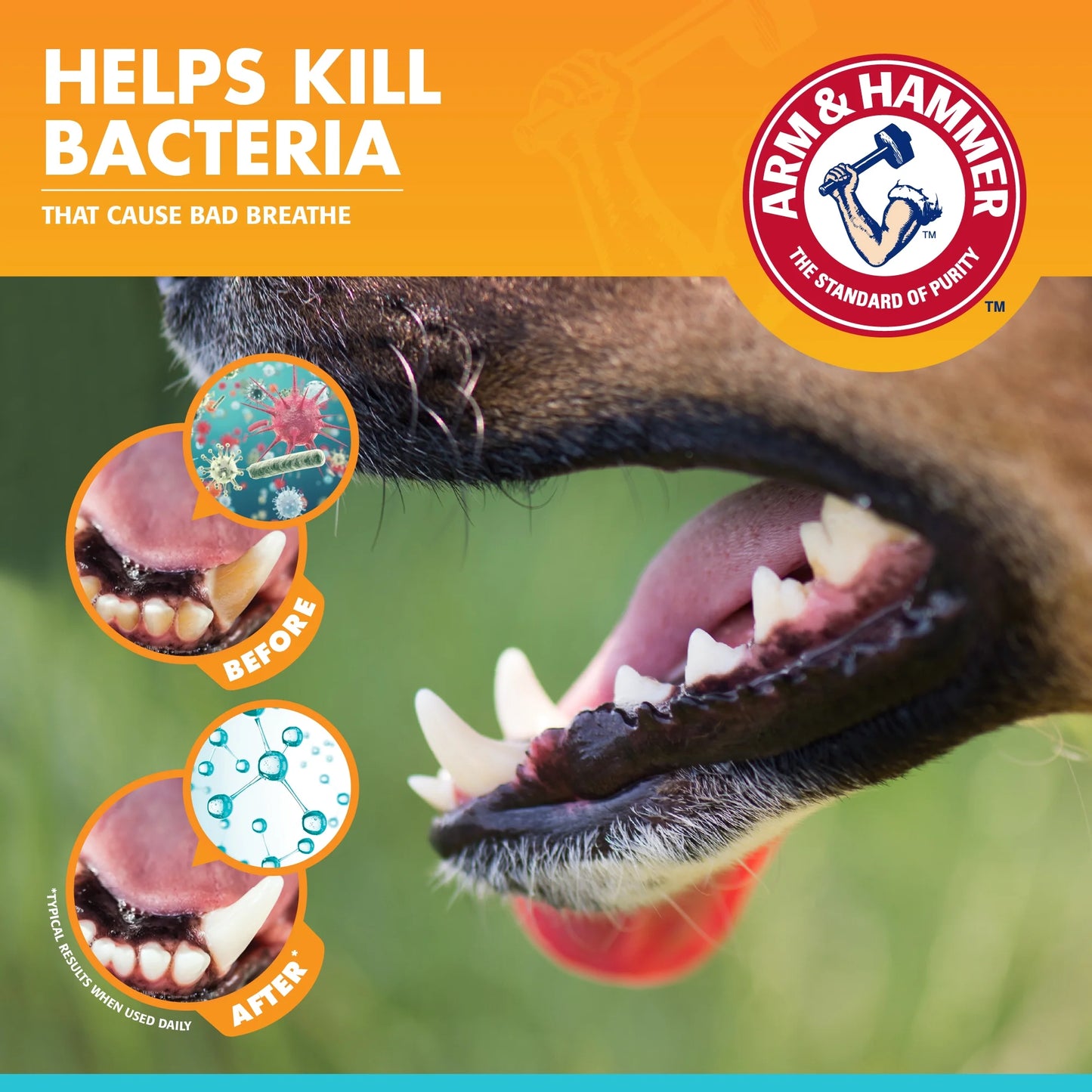 Arm & Hammer Advanced Care Fresh Breath Dog Toothpaste & Toothbrush Kit Vanilla Ginger Flavor