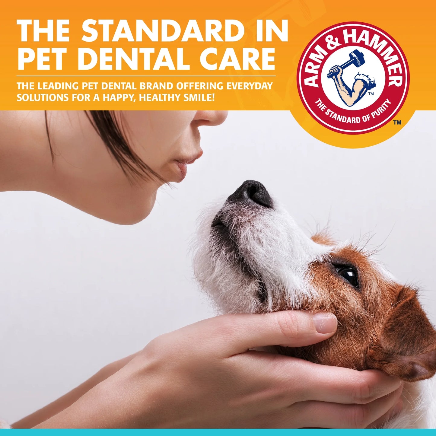 Arm & Hammer Advanced Care Fresh Breath Dog Toothpaste & Toothbrush Kit Vanilla Ginger Flavor