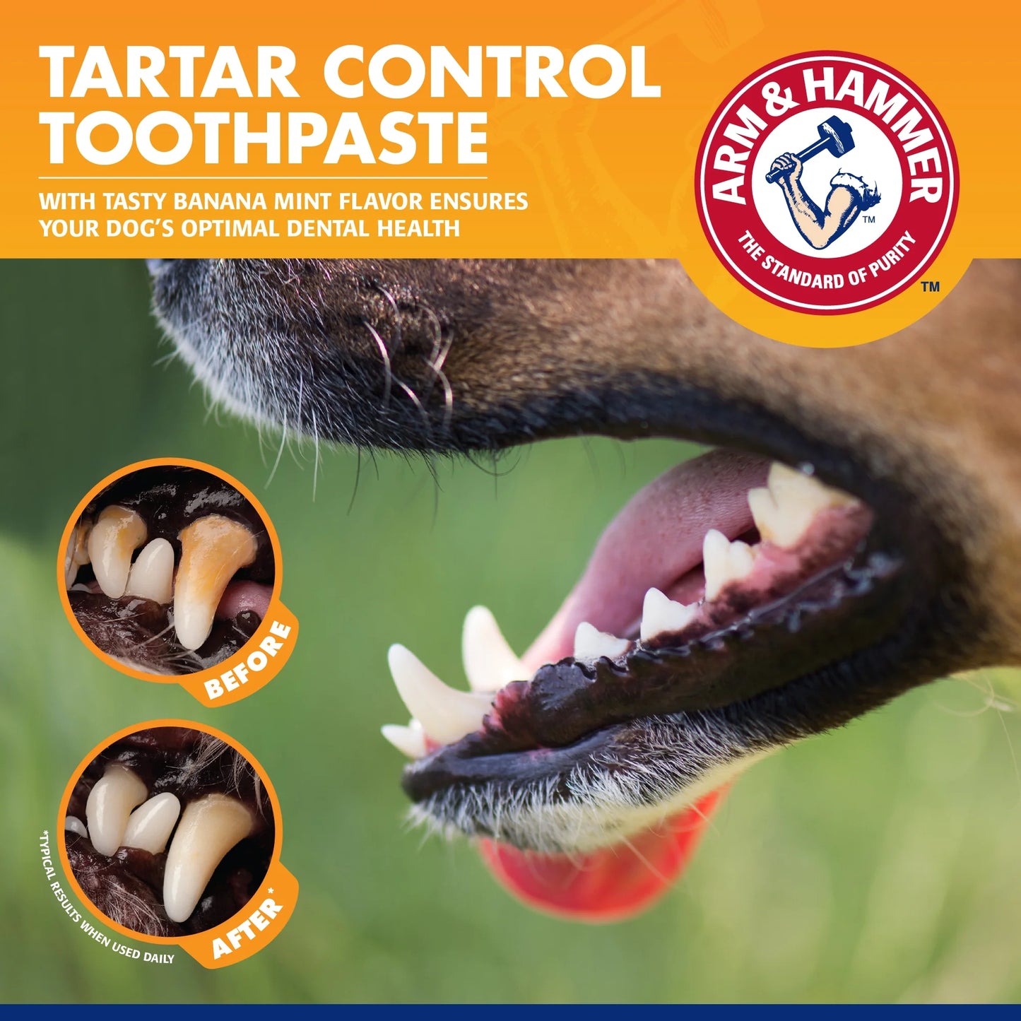 Advanced Oral Care 3 Piece Dog Dental Kit Banana Mint