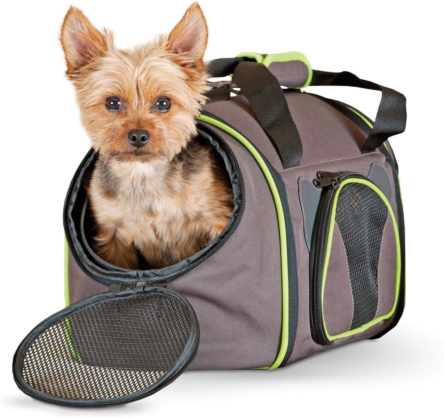 Classy Go Pet Carrier Brown/Lime Green Medium 21" X 10" X 10.5"
