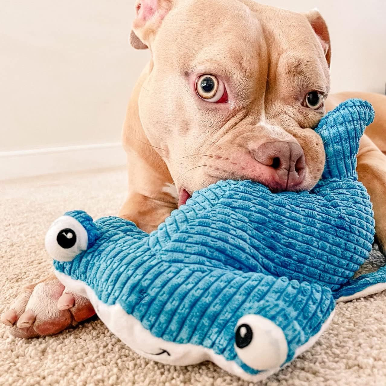 Snuggle Puppy Tender-Tuffs - Large Marine Stuffed Hammerhead Shark Plush Toy for Big Dogs - Puncture Resistant Squeaker