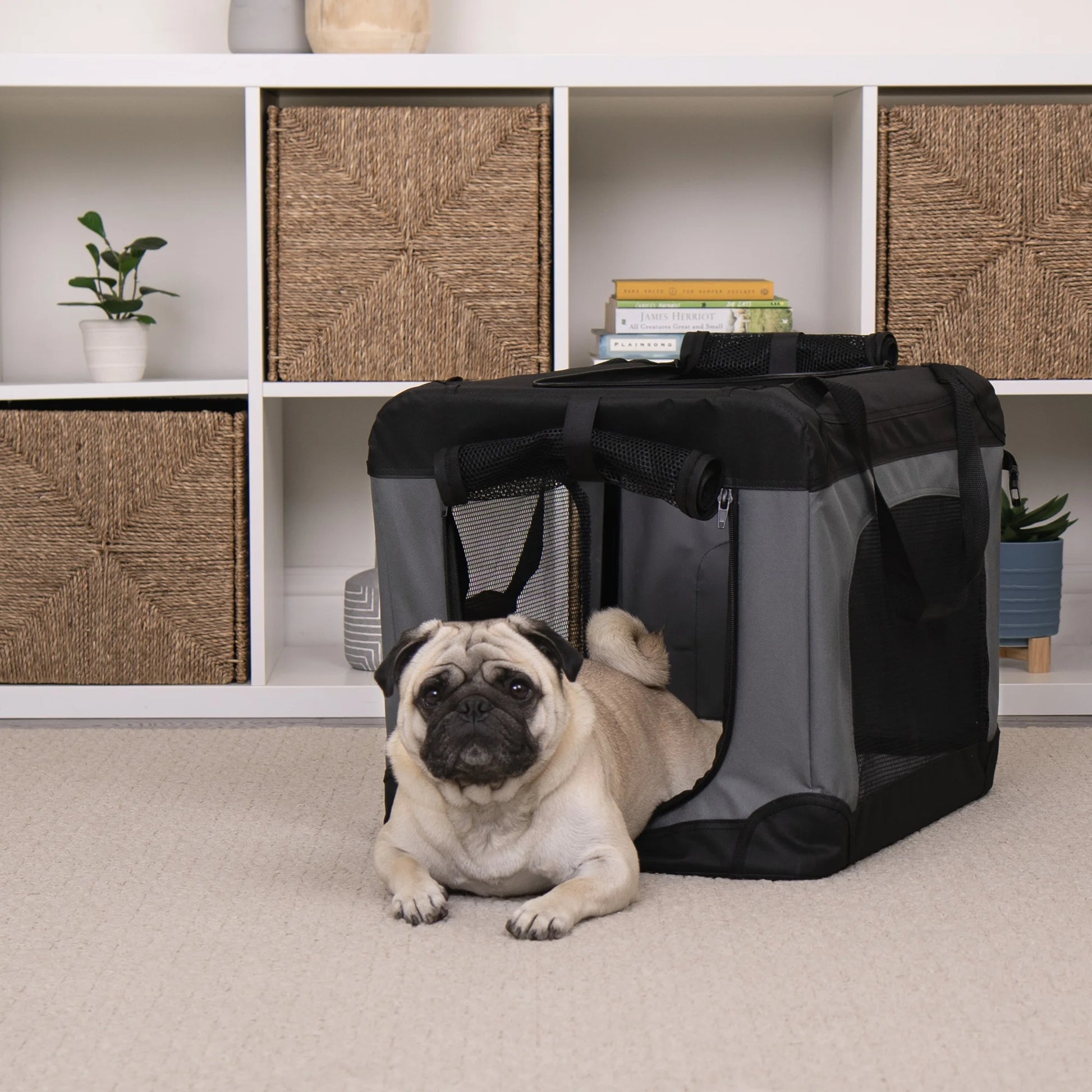 ® Pet Products Collapsible Pet Crate, Black, Large, 24 Lb Limit