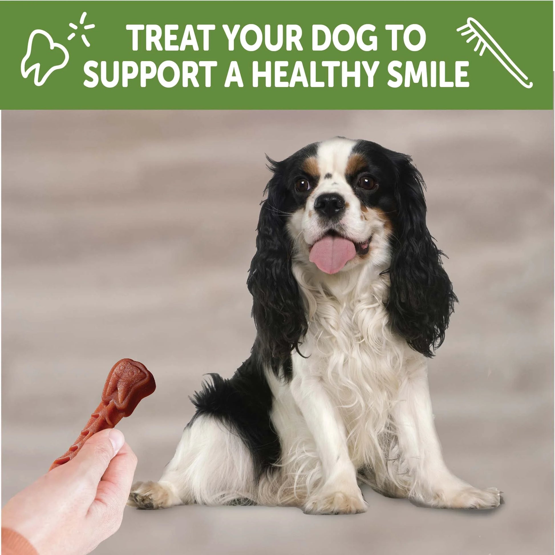 Wellness® ® Brushzees Natural Grain Free Dental Chews for Dogs, Small Breed, 24 Count