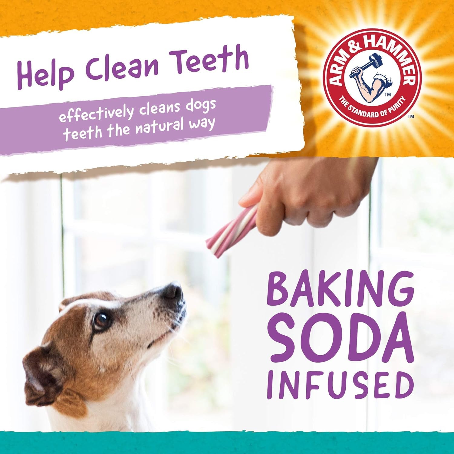 for Pets Smoothies Dental Treats for Dogs with Baking Soda and Calcium, Treat Chews Help Fight Bad Breath, Plaque & Tartar without Brushing, Mint Blueberry, 8 Pcs (Packaging May Vary)