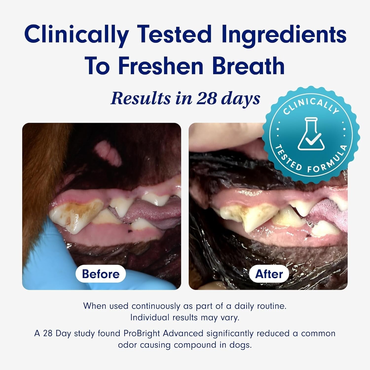 Petlab Co. Probright Dental Powder Dog Breath Freshener Teeth Cleaning Made Easy