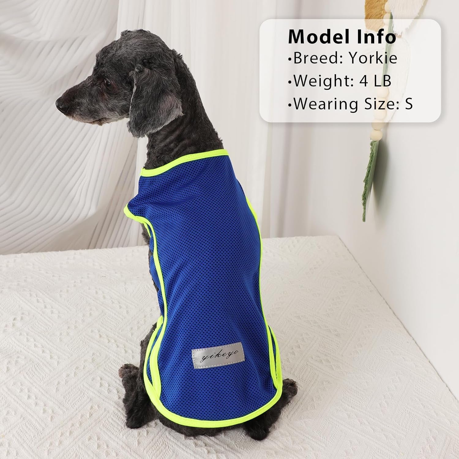 2 Pack Shirts for Dog Quick Dry Vest Boy Girl Summer, Puppy T-Shirt with Reflective Strip Sun Protection Sleeveless Cool Clothes, Breathable Cat Tank Top Pet Apparel (Blue and Turquoise, XS)