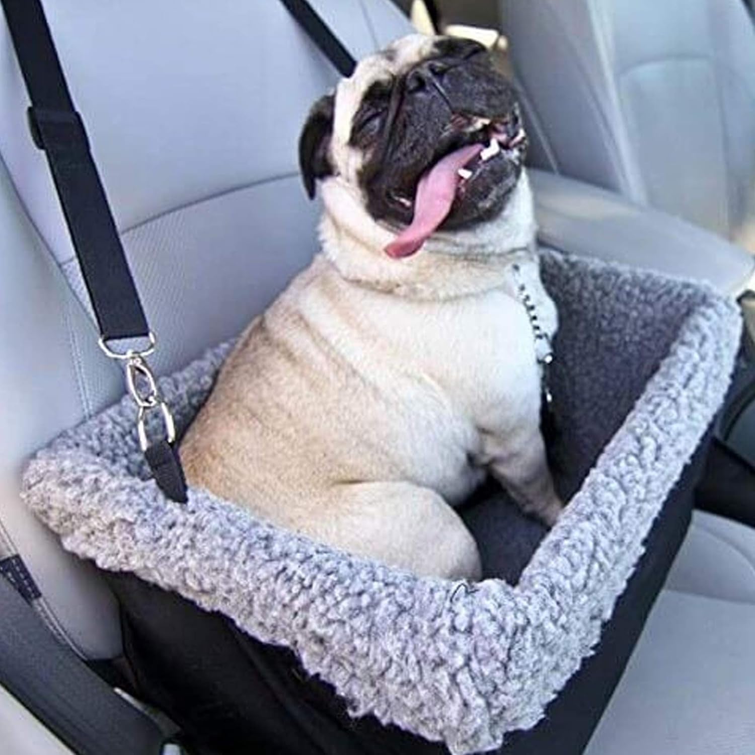 Deluxe Dog Car Seat Fits Pets up to 15Lbs, Dog Booster Seat, Padded Cushioning, Adjustable Straps, Metal Frame Encasing, Installs in Seconds, Collapsible Canvas and Easy to Clean