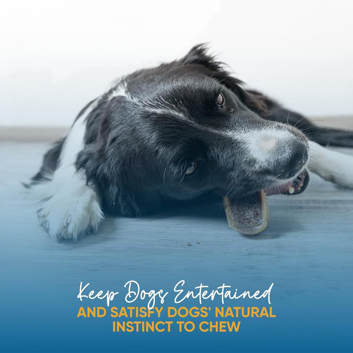 Filled Cow Hooves for Dogs – Delicious Cheese & Bacon Flavor Dog Treats (3 Count), Long-Lasting Natural Dog Chews, Stuffed Beef Hooves for All Breeds, Made from Premium Brazilian Cattle