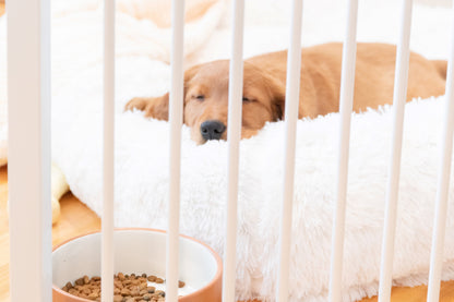 Convertible Pet Yard, 144"L X 28"H