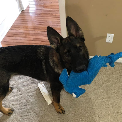 Snuggle Puppy Tender-Tuffs - Large Marine Stuffed Hammerhead Shark Plush Toy for Big Dogs - Puncture Resistant Squeaker