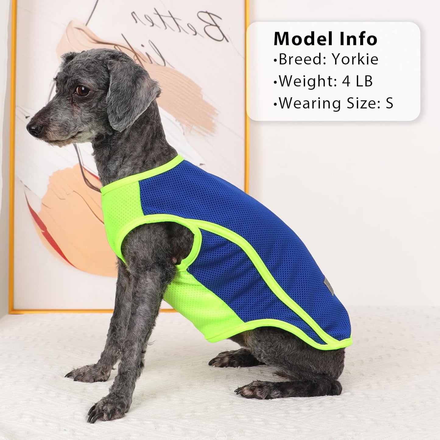 2 Pack Shirts for Dog Quick Dry Vest Boy Girl Summer, Puppy T-Shirt with Reflective Strip Sun Protection Sleeveless Cool Clothes, Breathable Cat Tank Top Pet Apparel (Blue and Turquoise, XS)