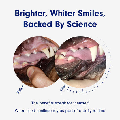 Probright Dog Dental Powder for Small Dogs 30 Scoops Tartar Bad Breath Care