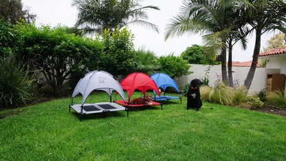 Just Chillin' Elevated Dog Bed. Cool Cot with Removable Canopy Shade. Indoor or Outdoor Pet Use. Lightweight and Portable. Chill in Style on Raised Breathable Mesh Fabric.
